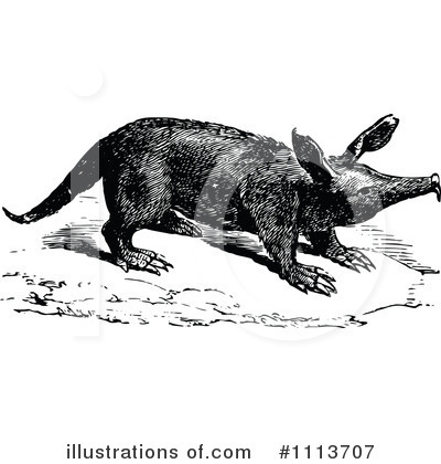 Royalty-Free (RF) Aardvark Clipart Illustration by Prawny Vintage - Stock Sample #1113707