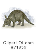 Aardvark Clipart #71959 by inkgraphics