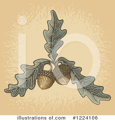 Royalty-Free (RF) Acorn Clipart Illustration by Any Vector - Stock Sample #1224106