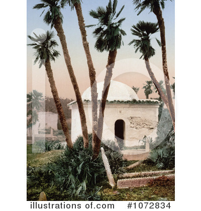 Royalty-Free (RF) Algeria Clipart Illustration by JVPD - Stock Sample #1072834