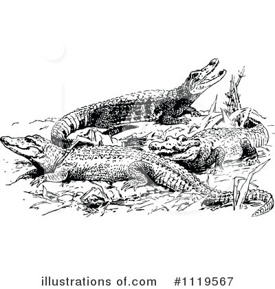 Royalty-Free (RF) Alligator Clipart Illustration by Prawny Vintage - Stock Sample #1119567