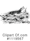 Alligator Clipart #1119567 by Prawny Vintage