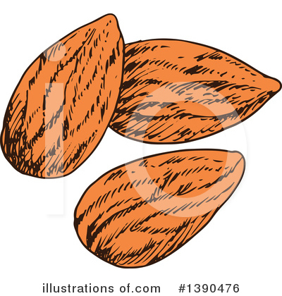 Royalty-Free (RF) Almond Clipart Illustration by Vector Tradition SM - Stock Sample #1390476