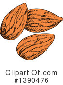 Almond Clipart #1390476 by Vector Tradition SM