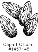 Almond Clipart #1457145 by Vector Tradition SM