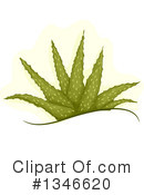 Aloe Clipart #1346620 by BNP Design Studio