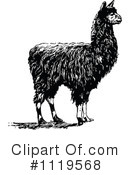 Alpaca Clipart #1119568 by Prawny Vintage