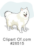 American Eskimo Dog Clipart #26515 by David Rey