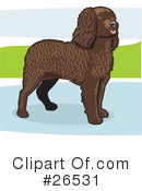 American Water Spaniel Clipart #26531 by David Rey