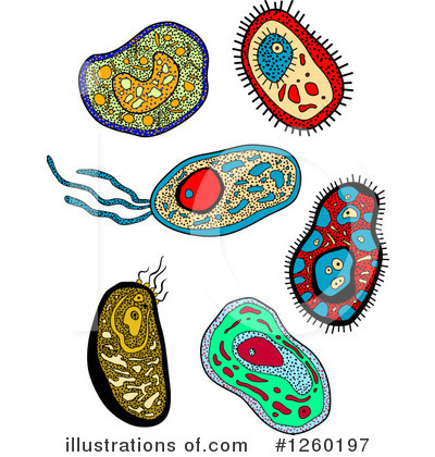 Royalty-Free (RF) Amoeba Clipart Illustration by Vector Tradition SM - Stock Sample #1260197