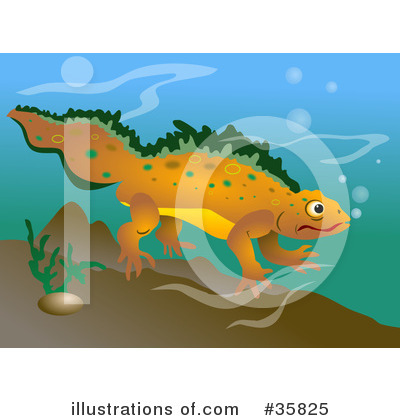 Salamander Clipart #35825 by Prawny