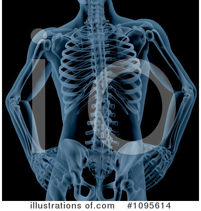 Royalty-Free (RF) Anatomy Clipart Illustration by KJ Pargeter - Stock Sample #1095614