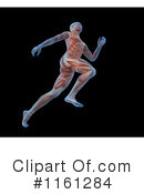Anatomy Clipart #1161284 by Mopic