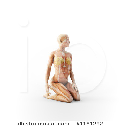 Royalty-Free (RF) Anatomy Clipart Illustration by Mopic - Stock Sample #1161292