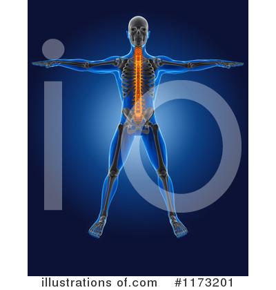 Royalty-Free (RF) Anatomy Clipart Illustration by KJ Pargeter - Stock Sample #1173201