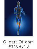 Anatomy Clipart #1184010 by KJ Pargeter