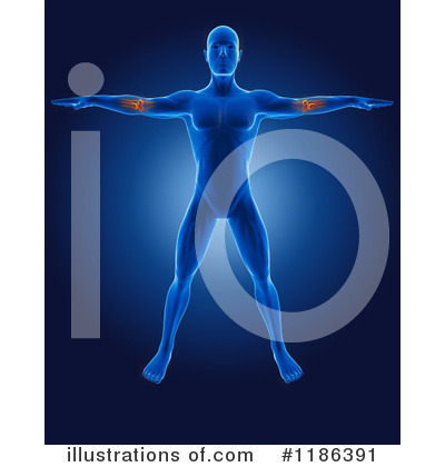 Royalty-Free (RF) Anatomy Clipart Illustration by KJ Pargeter - Stock Sample #1186391