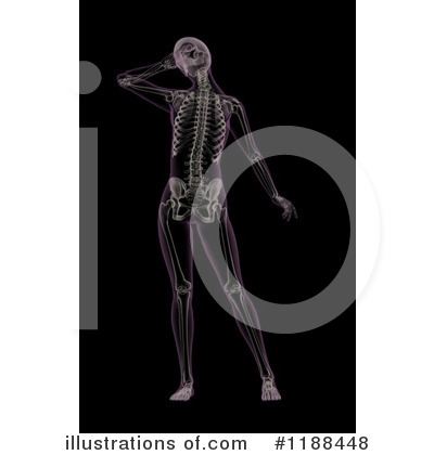 Royalty-Free (RF) Anatomy Clipart Illustration by KJ Pargeter - Stock Sample #1188448