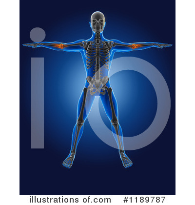 Royalty-Free (RF) Anatomy Clipart Illustration by KJ Pargeter - Stock Sample #1189787