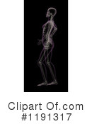 Anatomy Clipart #1191317 by KJ Pargeter