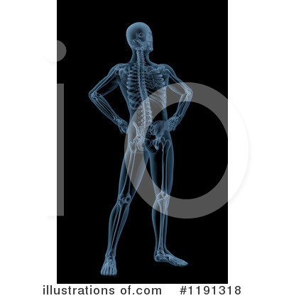 Royalty-Free (RF) Anatomy Clipart Illustration by KJ Pargeter - Stock Sample #1191318