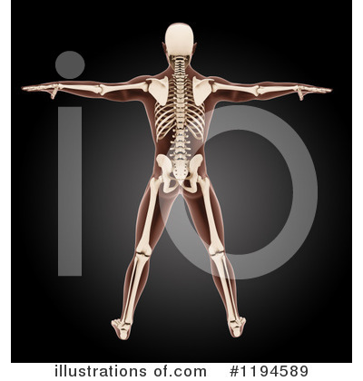 Royalty-Free (RF) Anatomy Clipart Illustration by KJ Pargeter - Stock Sample #1194589