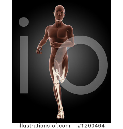 Royalty-Free (RF) Anatomy Clipart Illustration by KJ Pargeter - Stock Sample #1200464