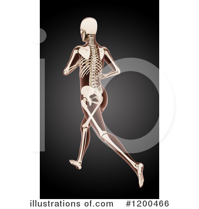 Royalty-Free (RF) Anatomy Clipart Illustration by KJ Pargeter - Stock Sample #1200466