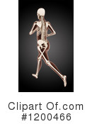 Anatomy Clipart #1200466 by KJ Pargeter