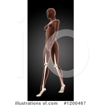 Royalty-Free (RF) Anatomy Clipart Illustration by KJ Pargeter - Stock Sample #1200467