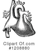Anatomy Clipart #1208880 by Prawny Vintage