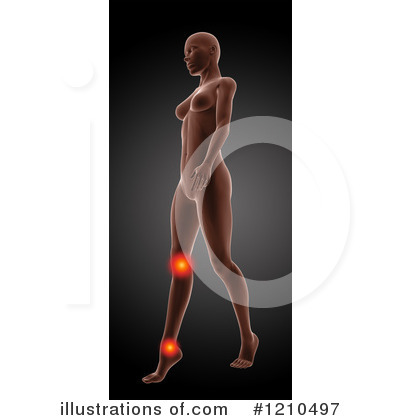 Royalty-Free (RF) Anatomy Clipart Illustration by KJ Pargeter - Stock Sample #1210497