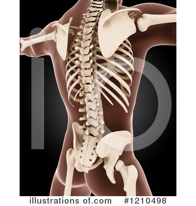 Royalty-Free (RF) Anatomy Clipart Illustration by KJ Pargeter - Stock Sample #1210498