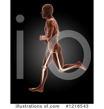 Royalty-Free (RF) Anatomy Clipart Illustration by KJ Pargeter - Stock Sample #1216543