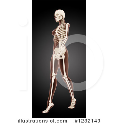 Royalty-Free (RF) Anatomy Clipart Illustration by KJ Pargeter - Stock Sample #1232149