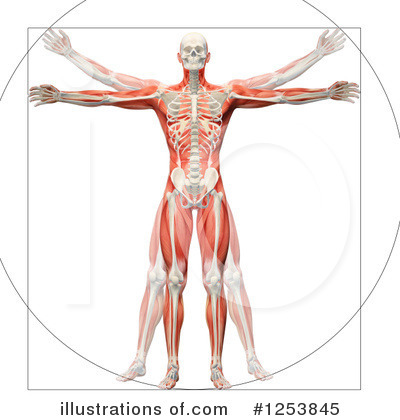 Royalty-Free (RF) Anatomy Clipart Illustration by Mopic - Stock Sample #1253845