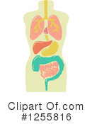 Anatomy Clipart #1255816 by BNP Design Studio