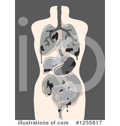 Royalty-Free (RF) Anatomy Clipart Illustration by BNP Design Studio - Stock Sample #1255817