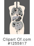 Anatomy Clipart #1255817 by BNP Design Studio