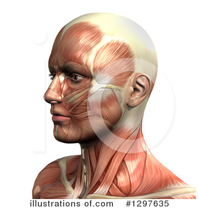 Royalty-Free (RF) Anatomy Clipart Illustration by KJ Pargeter - Stock Sample #1297635