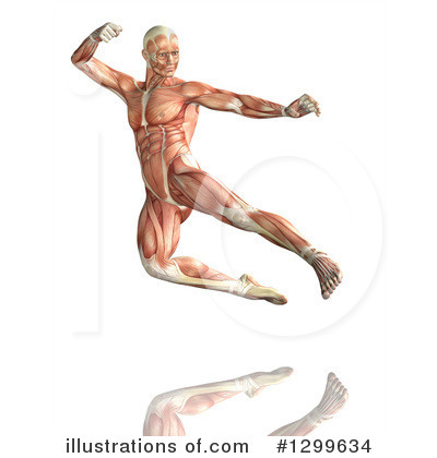 Royalty-Free (RF) Anatomy Clipart Illustration by KJ Pargeter - Stock Sample #1299634