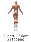 Anatomy Clipart #1300900 by KJ Pargeter