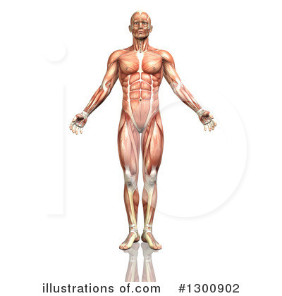 Body Clipart #1300902 by KJ Pargeter