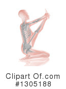 Anatomy Clipart #1305188 by KJ Pargeter