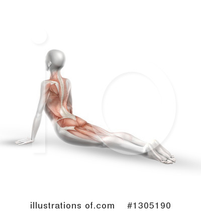 Royalty-Free (RF) Anatomy Clipart Illustration by KJ Pargeter - Stock Sample #1305190