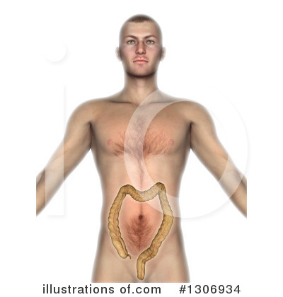 Royalty-Free (RF) Anatomy Clipart Illustration by KJ Pargeter - Stock Sample #1306934