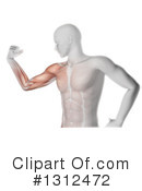 Anatomy Clipart #1312472 by KJ Pargeter