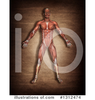 Royalty-Free (RF) Anatomy Clipart Illustration by KJ Pargeter - Stock Sample #1312474
