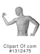 Anatomy Clipart #1312475 by KJ Pargeter