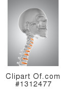 Anatomy Clipart #1312477 by KJ Pargeter